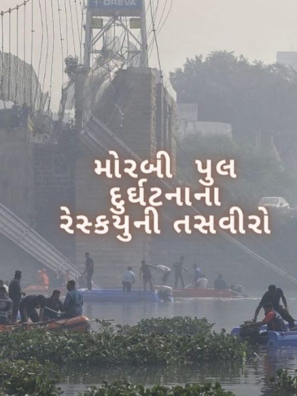 morbi