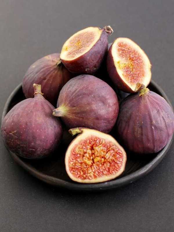 FIGS-BENEFITS