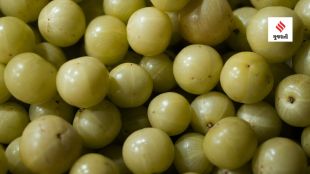 Health Tips amla benefits