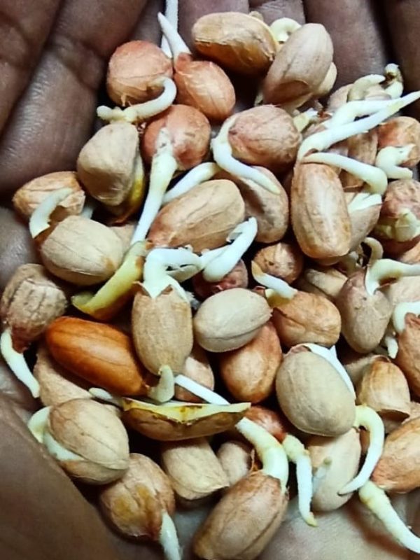 WhatsApp Image 2022-12-29 at 18.25.09