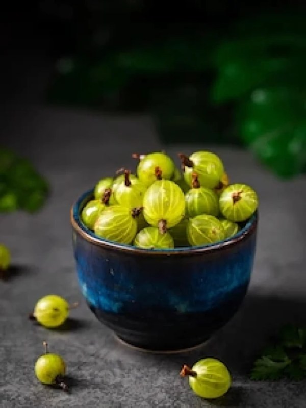 berries-green-gooseberry_658428-213