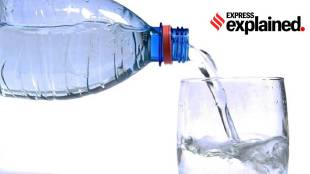 Microplastics have inundated the world, finding their way into the human food chain.