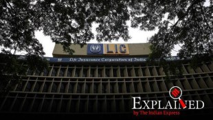 adani group share price dips lic hard