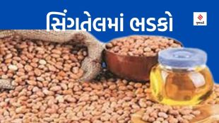 Groundnut oil