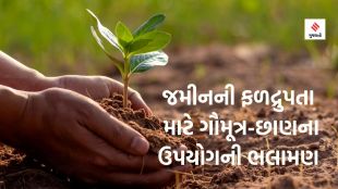 agriculture