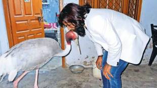 Mohammad Arif with the sarus crane