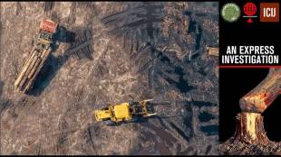 Over the years, several independent studies have reported significant loss of forests in India.
