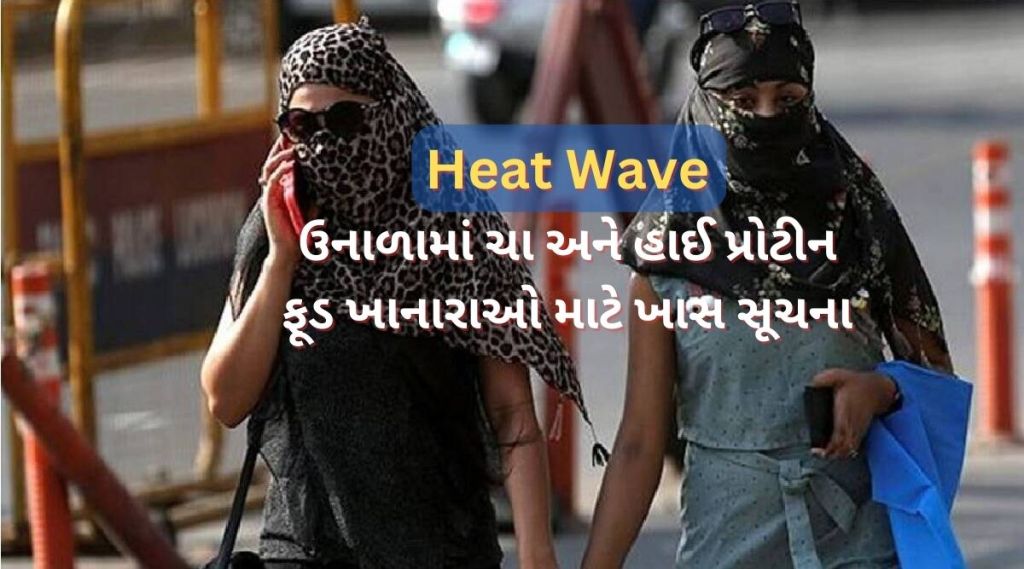 ગરમીથી બચવાની એડવાઈઝરી (ફોટો - એક્સપ્રેસ)