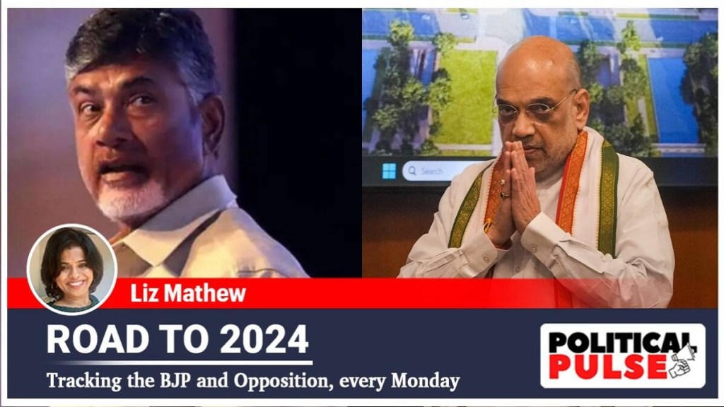 Amit Shah and N Chandrababu Naidu