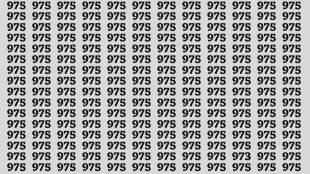 Optical Illusion Hidden number 973