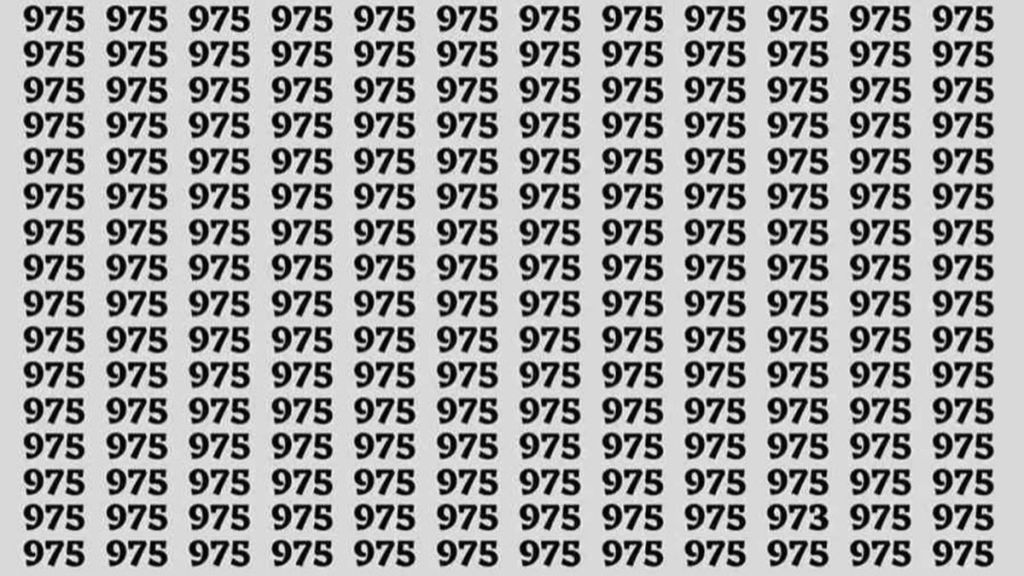 Optical Illusion Hidden number 973