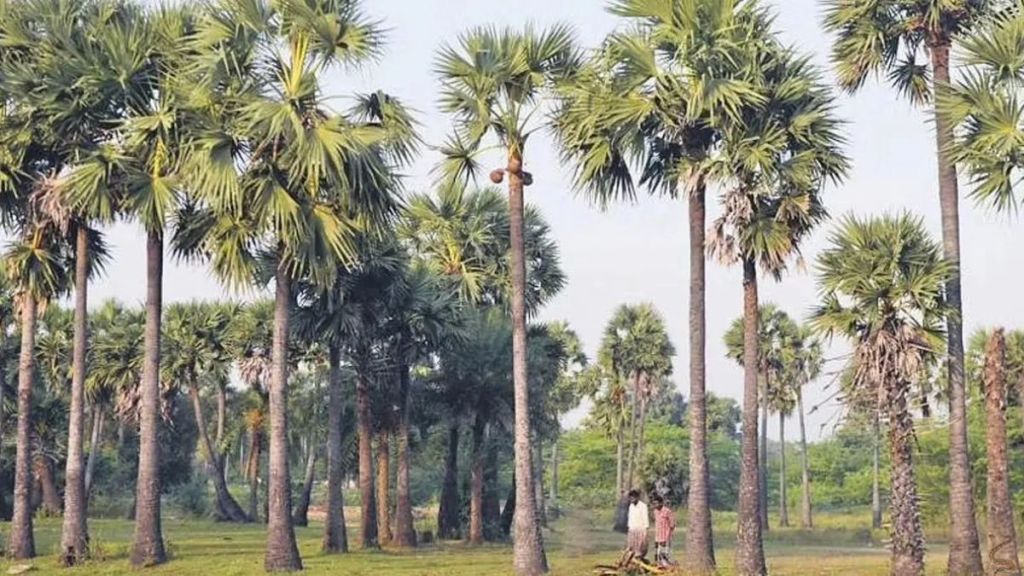 Optical illusion game palm tree Find snake