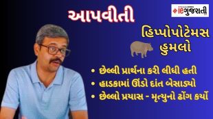 Vadodara zoo hippo attack story