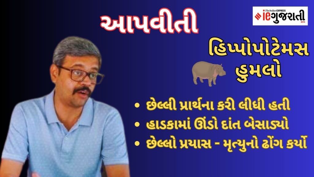 Vadodara zoo hippo attack story