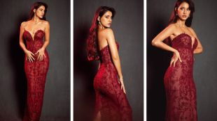 disha patani photo news