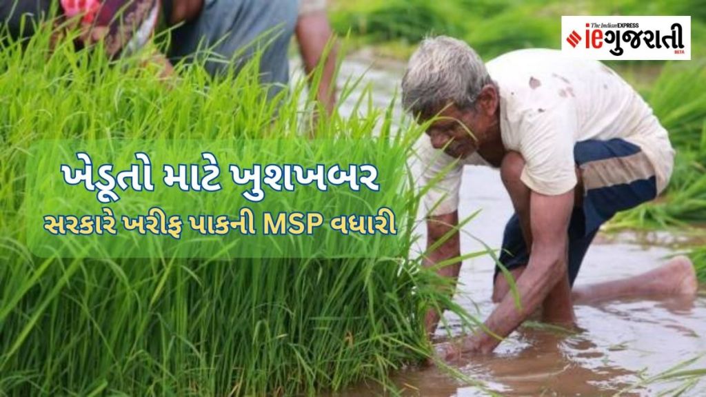 Government increases MSP of kharif crops