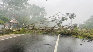 Biparjoy Cyclone Update | Biparjoy Cyclone