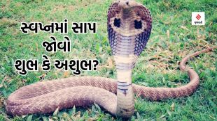 Snake