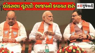 loksabha election 2023, BJP plane for loksabha election