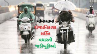 Monsoon (File Photo)