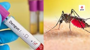 Dengue Cases (unsplash)