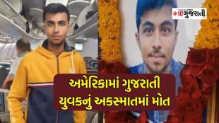 Accident in America, car accident in US, Gujarati boy died in America