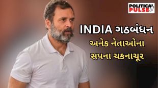 Loksabha Election 2024 | INDIA alliance | | Rahul Gandhi | congress | Supreme Court