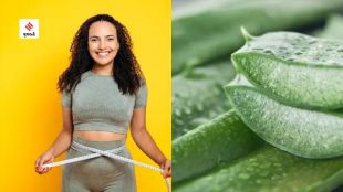 aloe vera helps to reduce belly fat, know the fact(unsplash)