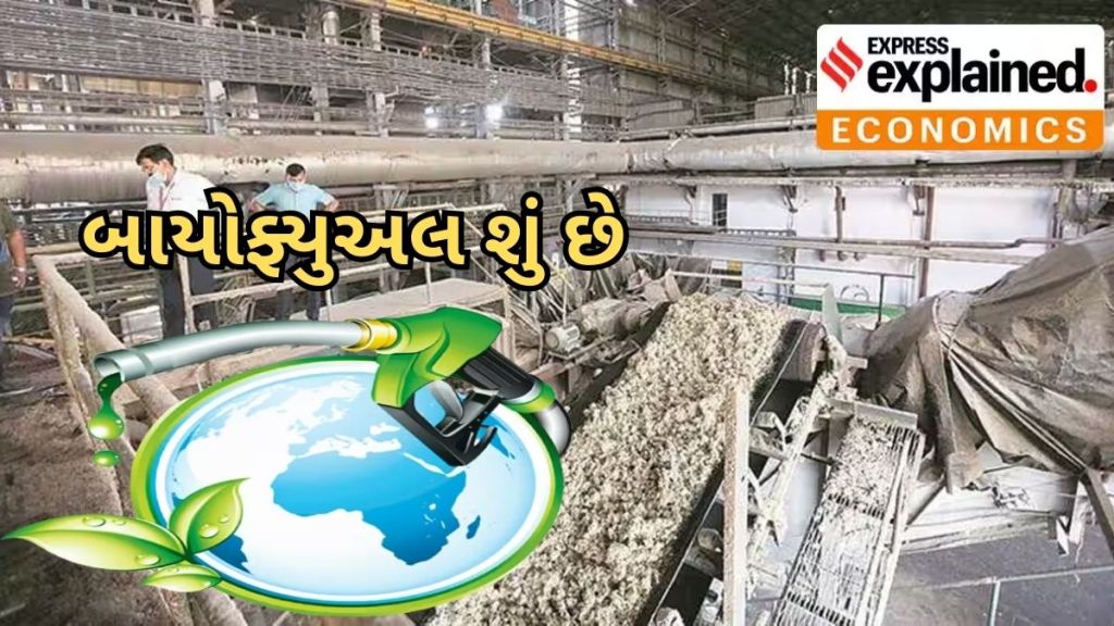 G20 Summit | What is Biofuel