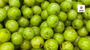 Know the benefits of amla (unsplash)