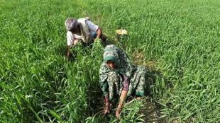 assembly elections 2023 | Farmers | Voter