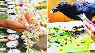 Pitru Paksha 2023 | Panchabali Bhog | shraddh paksha | Dharmabhakti