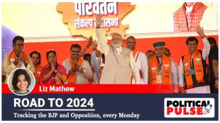 loksabha elections 2024 | BJP | Narendra Modi