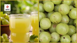 Amla Health Benefits, amla benefits why have amla in winter amla benefits health tips gujarati news