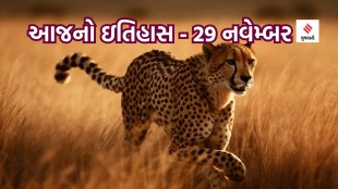 29 navember | today history | International Jaguar Day | Jaguar | cheetah