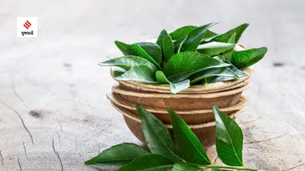 what to eat in the morning first routine winter diet curry leaves benefits health tips gujarati news