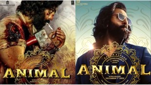 Animal | Animal and jaanwar special Connection | ranveer kapoor | jaanwar Movie | akshay kumar movie