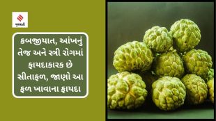 custard apple health benefits baba ramdev heatlh tip
