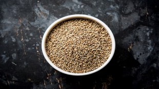 Bajra | Millet | Shri Anna | Bajra Health Benefits | Bajra Roti | Millet Nutrition