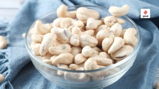Cashew Nut Health Benefits Effects on Cholesterol Heart Diseases health tips gujarati news
