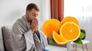 vitamin c sources | vitamin c fruit | orange fruit benefits | Cold | Cold Cough Medicines | Cold Cough Treatment | Health Tips