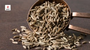 Cumin lukewarm water health benefits health tips gujarati news