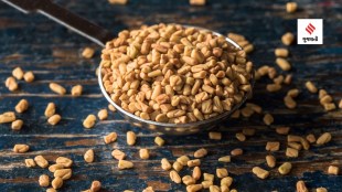 Fenugreek Benefits winter diet women periods pain remedies health tips gujarati news