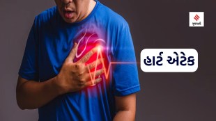 Heart Attack | Heart Disease | Health Tips For Avoid Heart Attack Disease | Good Cholesterol | Lifestyle Tips
