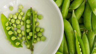 Green Peas | Health Benefits Of Green Peas | Health Benefits Of Peas | Peas Vegetables | Peascan | winter vegetables