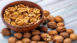 Wallnut | dryfruit Health Benefits | Wallnut Health Benefits | Wallnut Health Tips