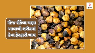 What Happens if You Eat Roasted Chana For everyday health tips gujarati news