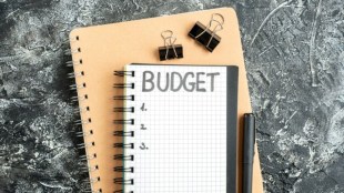 Budget 2024 | Budget 2024 Nimrla Sitharaman | interim budget 2024 | India budget fact | nimrla sitharaman budget 2024