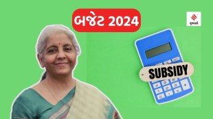 budget 2024 | budget 2024 expectations | subsidy in budget | subsidy expenditure | nirmala sitharaman budget 2024 | budget 2024 nirmala sitharaman | Food subsidy