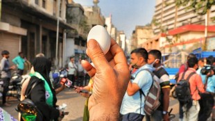egg price india | egg price | egg